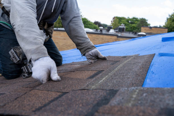Best Gutter Installation and Roofing  in The Crossings, FL