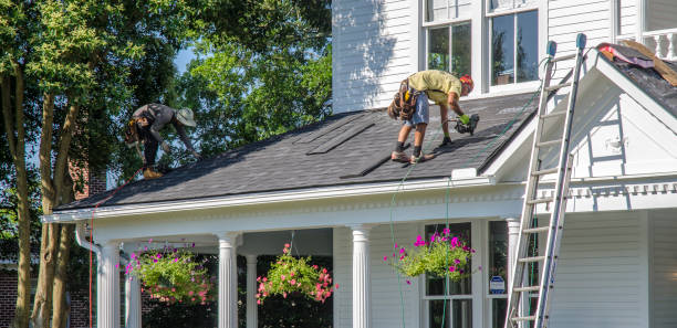 Best Roof Gutter Cleaning  in The Crossings, FL